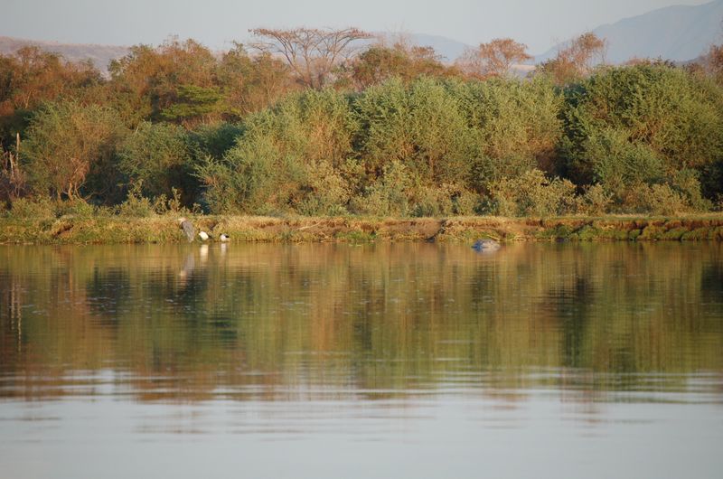 Safari Arba Minch -295.jpg