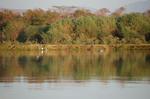 Safari Arba Minch -295.jpg