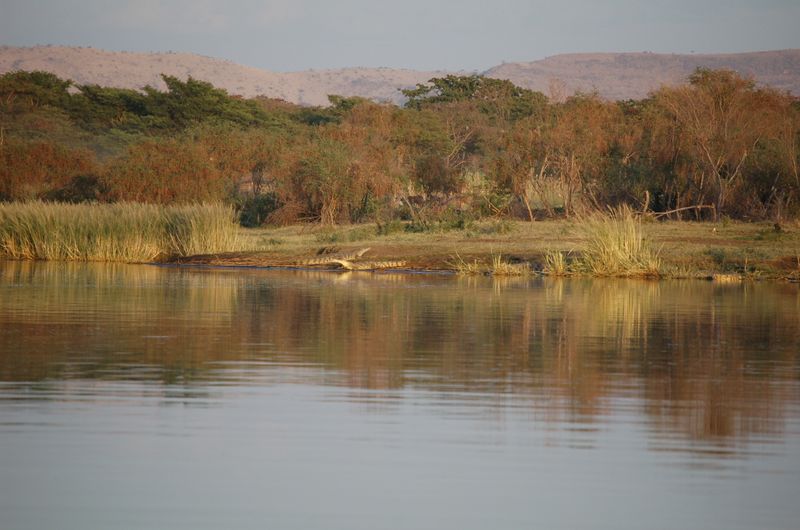 Safari Arba Minch -296.jpg