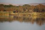 Safari Arba Minch -296.jpg