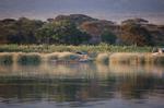 Safari Arba Minch -300.jpg
