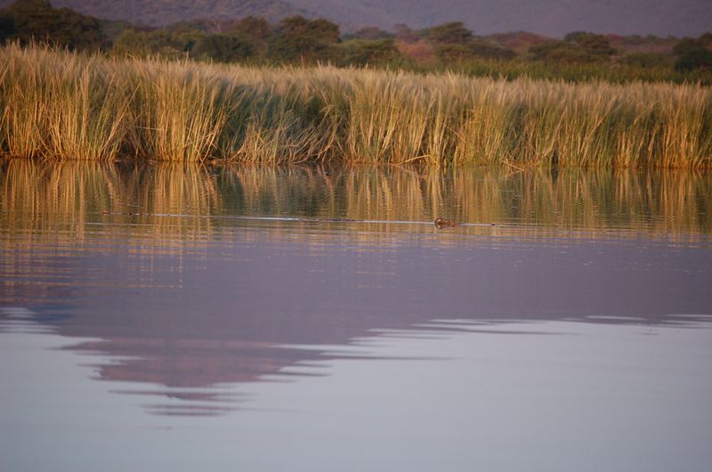 Safari Arba Minch -302.jpg