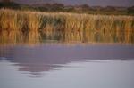 Safari Arba Minch -302.jpg