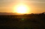 Safari Arba Minch -305.jpg