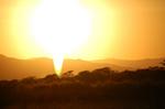Safari Arba Minch -306.jpg
