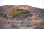 Safari Arba Minch -307.jpg