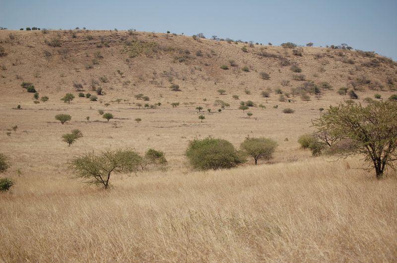 Safari Arba Minch -073.jpg