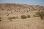 Safari Arba Minch -073.jpg