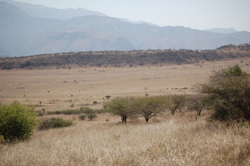 Safari Arba Minch -075.jpg