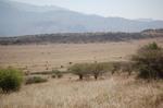 Safari Arba Minch -075.jpg