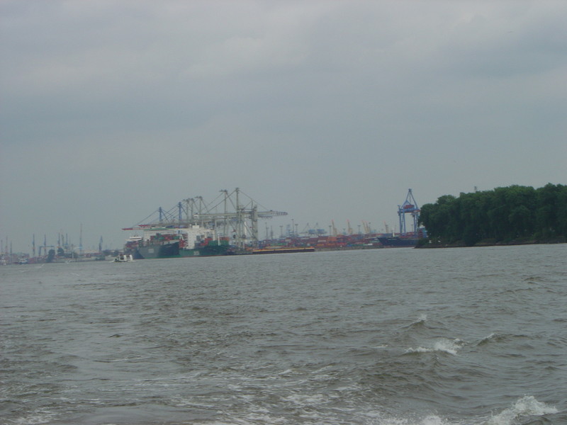 DSC00254