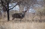 DSC_2225.JPG