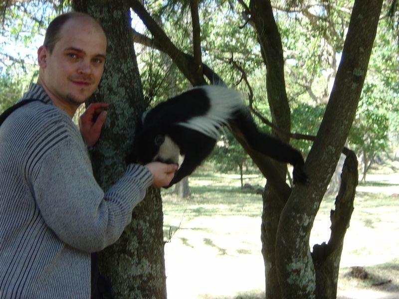 Monkeys -036.jpg