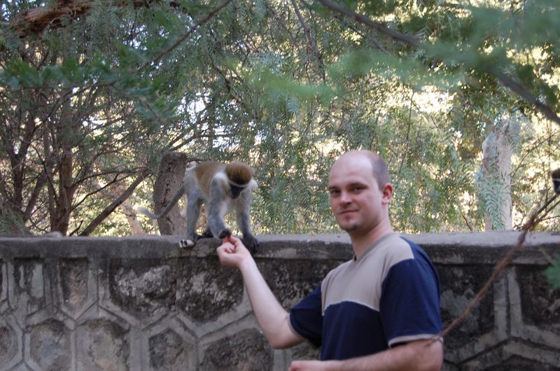 Monkeys -159.jpg