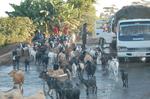 on the way -002.jpg