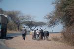 on the way -694.jpg