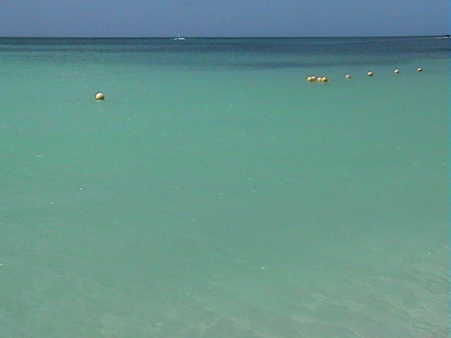 DSC00650