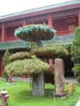 Zhengzhou_05-Xiangguo Temple-123029.jpg