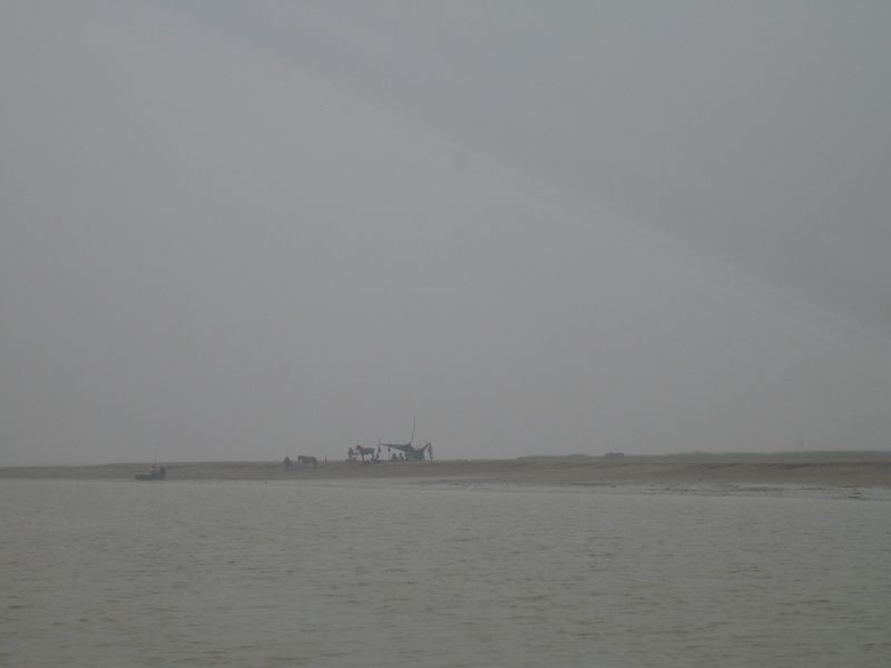 Zhengzhou_05-Yellow River _amp_ Hovercraft-047.jpg