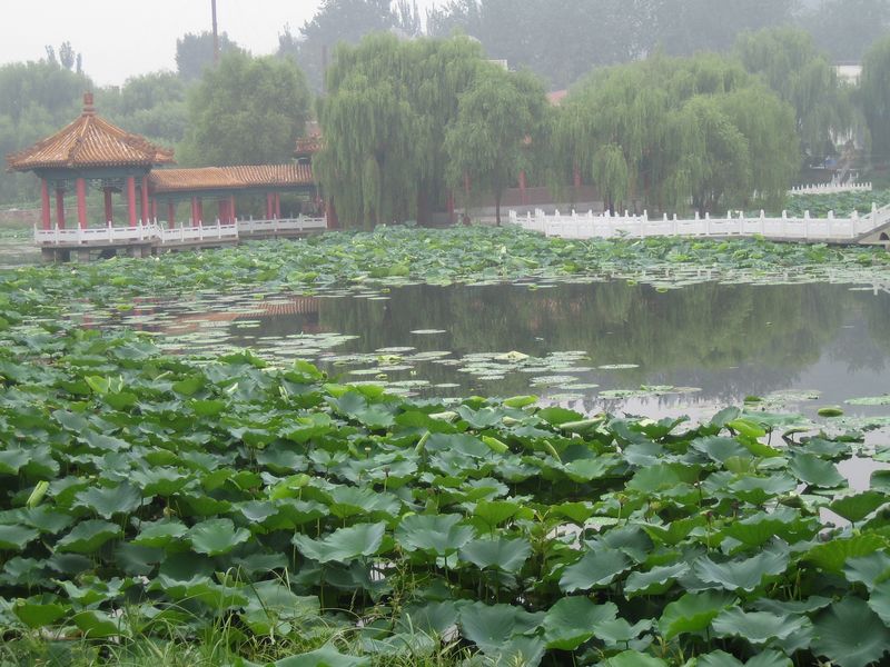 Zhengzhou_05-Yellow River _amp_ Hovercraft-072.jpg
