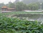 Zhengzhou_05-Yellow River _amp_ Hovercraft-072.jpg