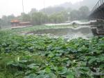 Zhengzhou_05-Yellow River _amp_ Hovercraft-073.jpg