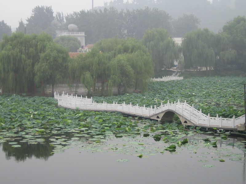 Zhengzhou_05-Yellow River _amp_ Hovercraft-075.jpg