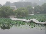Zhengzhou_05-Yellow River _amp_ Hovercraft-075.jpg