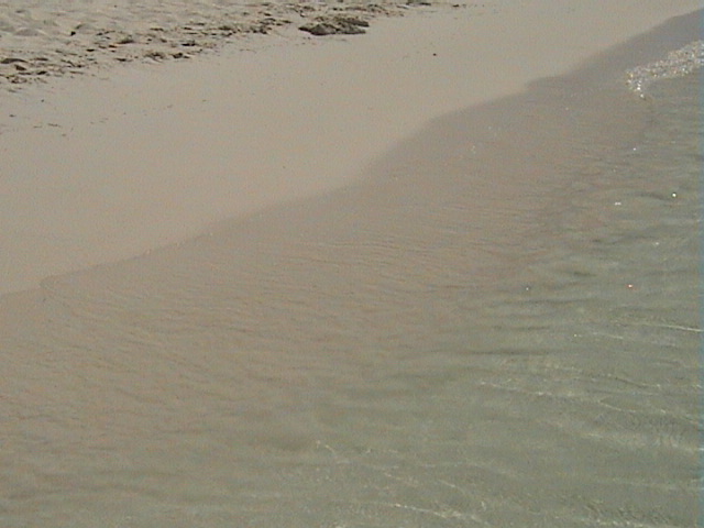 DSC00649