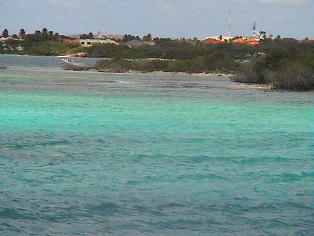 DSC00653