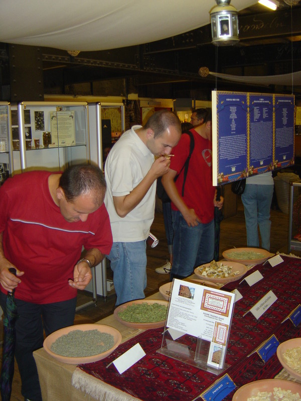 DSC00113