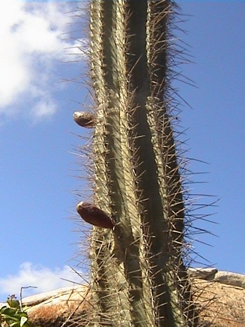 DSC00639