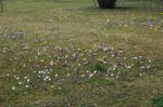 Geneve 22_03_06-041.jpg