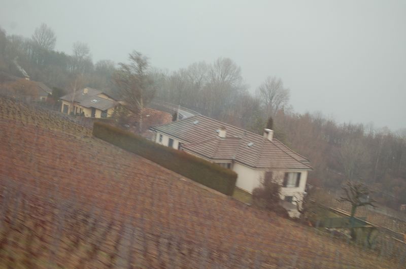 Geneve 22_03_06-116.jpg