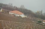 Geneve 22_03_06-117.jpg