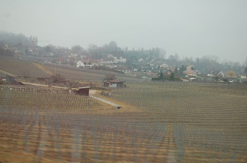 Geneve 22_03_06-120.jpg