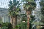 Geneve 22_03_06-033.jpg