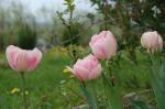 Zaruke 16_04_06 -252.jpg