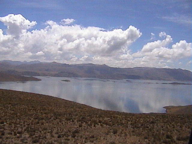 DSC00524
