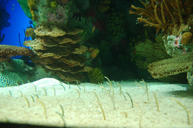 DSC_1923.JPG