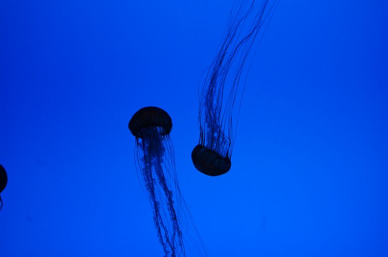DSC_1927.JPG