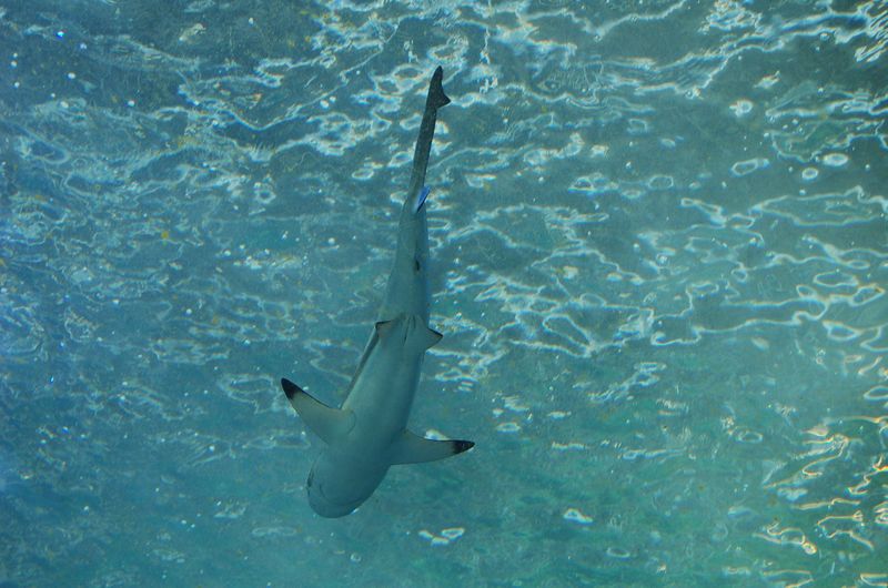 DSC_1934.JPG