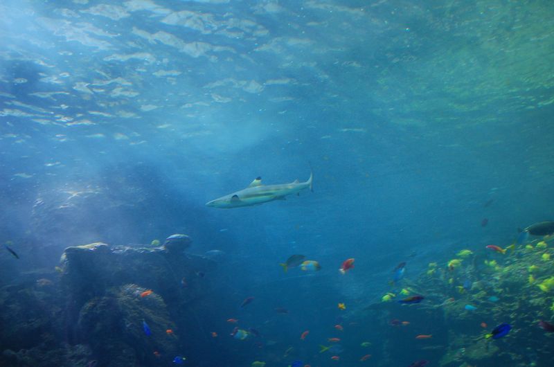 DSC_1936.JPG