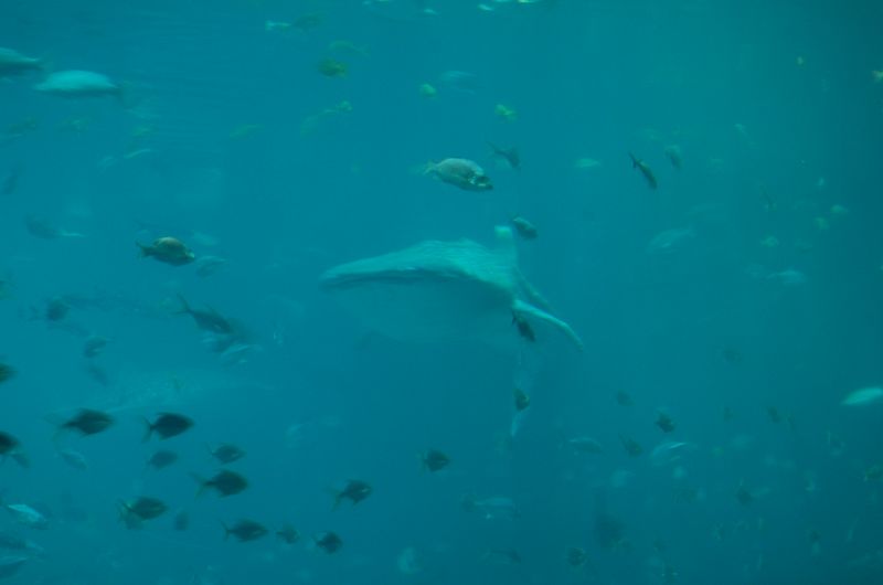 DSC_2052.JPG