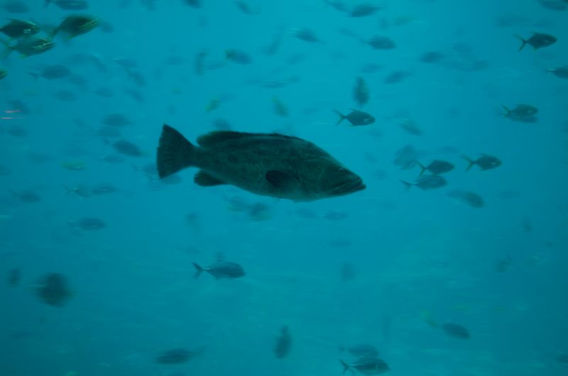 DSC_2087.JPG
