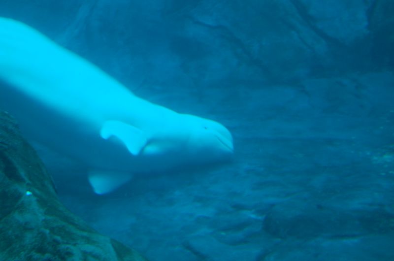 DSC_2122.JPG