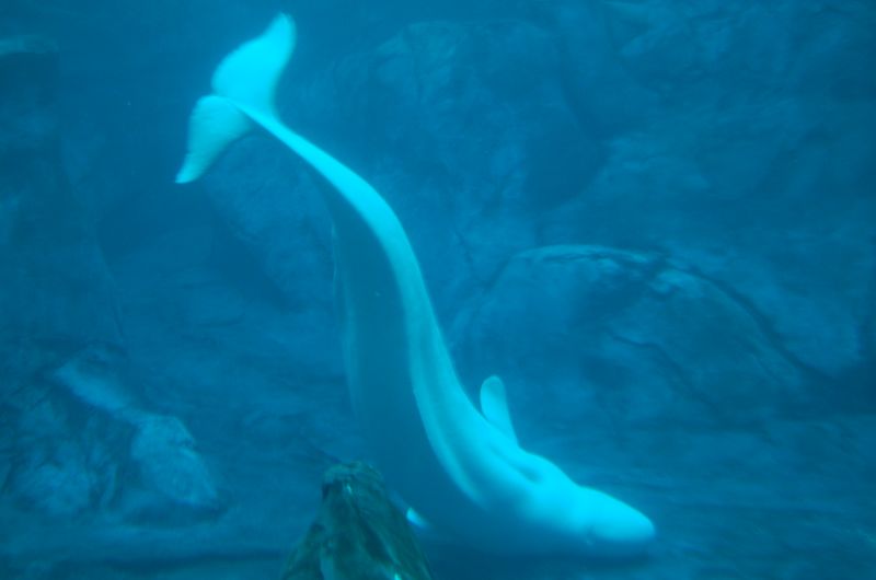 DSC_2124.JPG