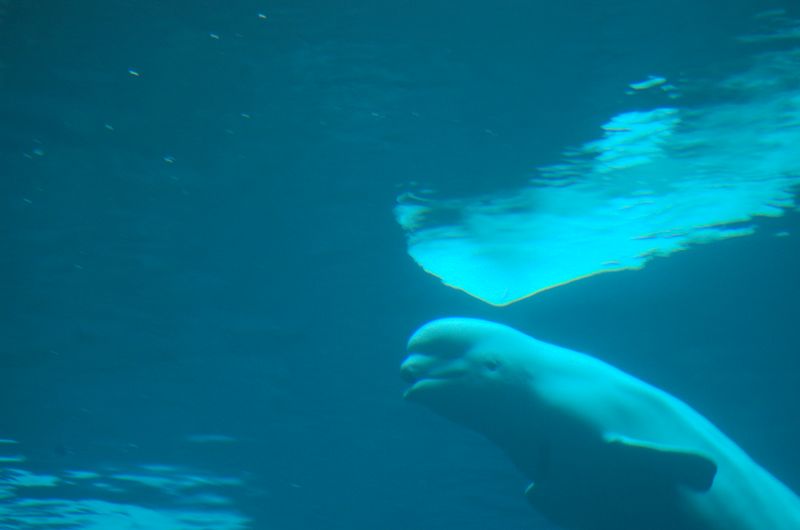 DSC_2128.JPG