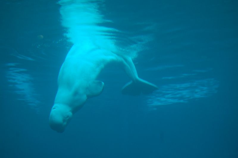 DSC_2132.JPG