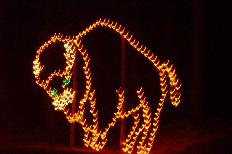 DSC_2514.JPG